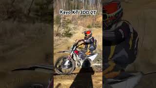 :  Kayo KT 300 Pro Miura