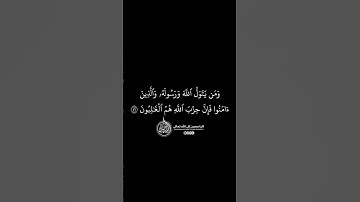 ماهر المعيقلي - سورة المائدة ( برواية حفص عن عاصم ) الأية 56