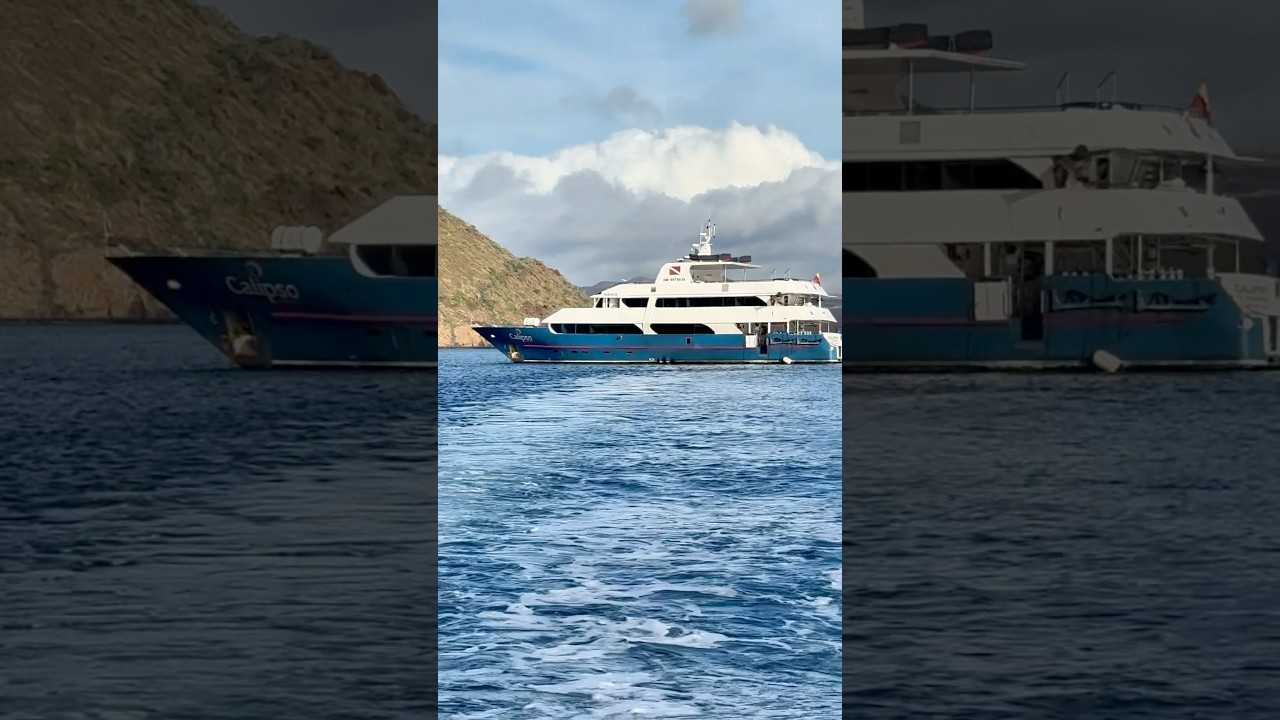 Cruising Through the Galápagos Islands 🛳️🐢 #ecuador