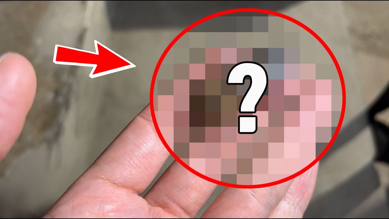 이동네는 편의점앞에 이런게 떨어져 있네요 저에겐 이게 공짜 로또입니다 ㅎㅎ