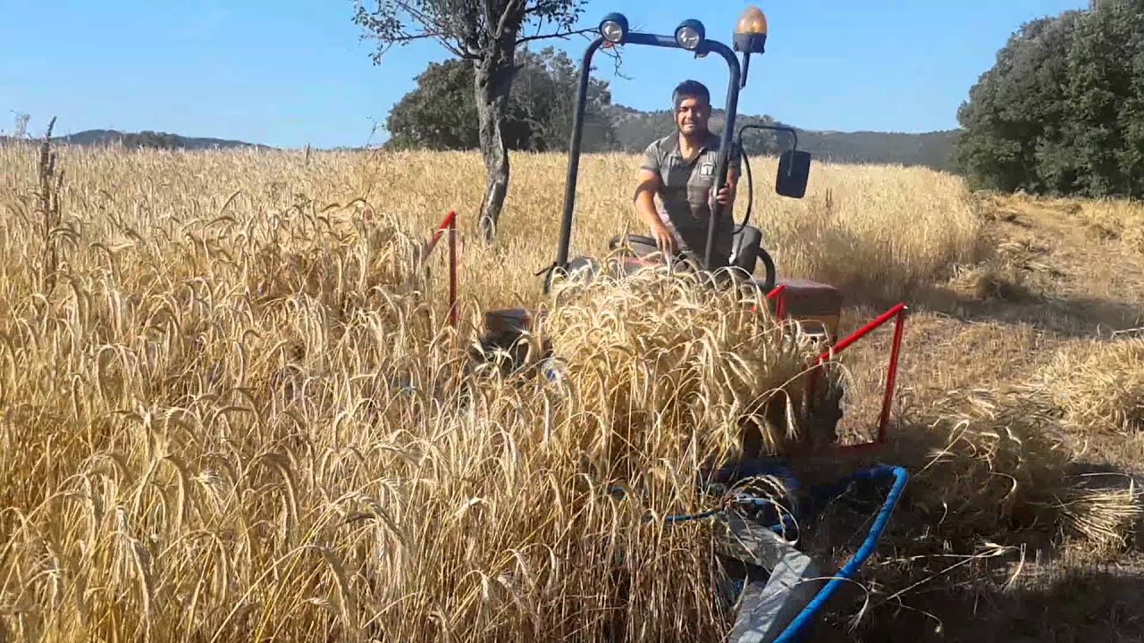 YAPEL ÇDG - 370 Makinemiz ile Buğday Hasadı Video 4 - BALIKESİR 03.07.2015