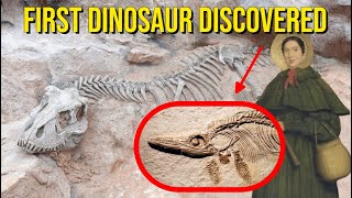 WHO discovered the first Dinosaur fossil?
