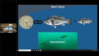 Oceanographic conditions shape rockfish survival / Biogeochemical modeling of the NE Pacific