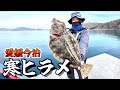 第405話【寒ヒラメ】ヒラメを釣るにはまずこの選択!の巻!