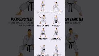 Most Important Karate Stances