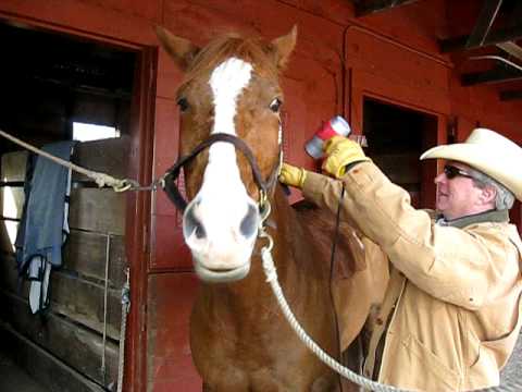 How to Dry your Horse Quickly on a Cold Day.