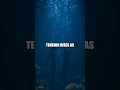 The Hidden Wonders of the Deep Sea: Underwater Life Unveiled