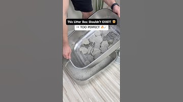 The Cleanest Sifting Litter Box Ever | No Scooping, No Mess, No Stress. #cat #litterbox #sifting