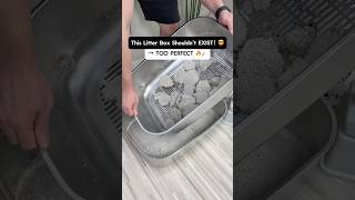 The Cleanest Sifting Litter Box Ever No Scooping, No Mess, No Stress.