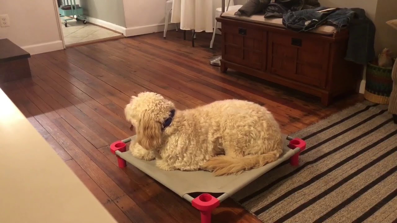 5am Training session!  There’s always time - YouTube
