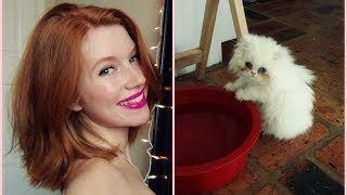 New Hair & New Kitty!