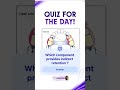 Which component provides indirect retention in this removable prosthesis ? #dentlecthub #dentalquiz