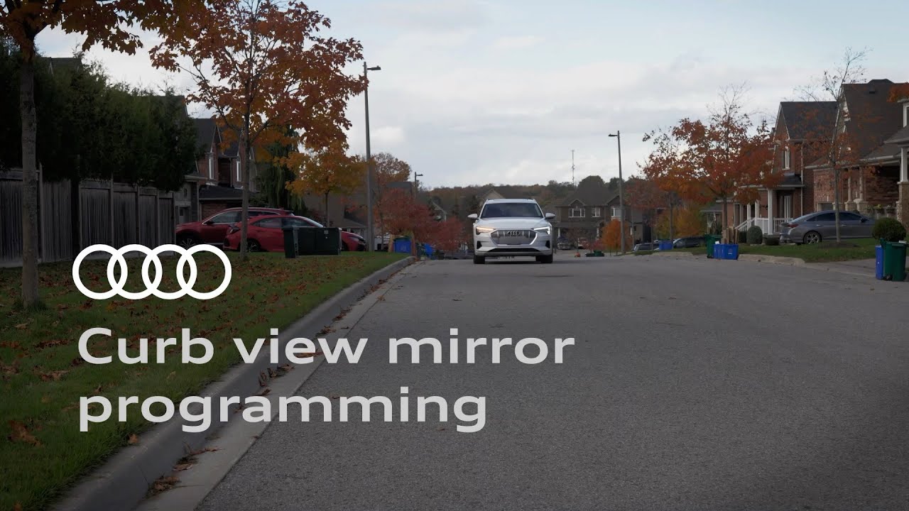 Curb view mirror programming
