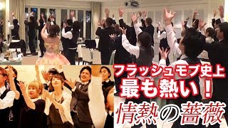 【感動 フラッシュモブ】新婦から新郎へ、想いを込めた心が熱くなるサプライズフラッシュモブ～ザ・ブルーハーツ情熱の薔薇～ProposeDance プロポーズダンス  【Flash Mob】