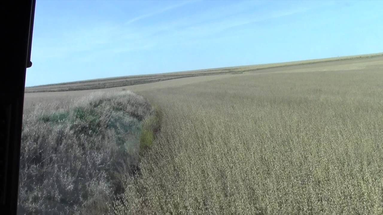 Brady Smith of rural Emerson, Iowa YouTube