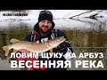 Спиннинг весной. Ловим щуку на арбуз. Рыбалка на малой реке.