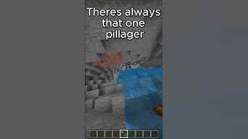 POV that one pillager in the raid #minecraft  #funny #shorts