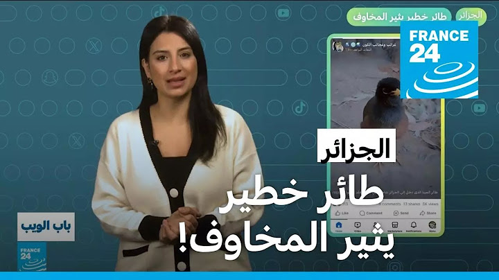 الجزائر.. طائر خطير يثير المخاوف! • فرانس 24 / FRANCE 24