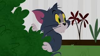 The Tom and Jerry Show - Say Cheese - Funny animals cartoons for kids