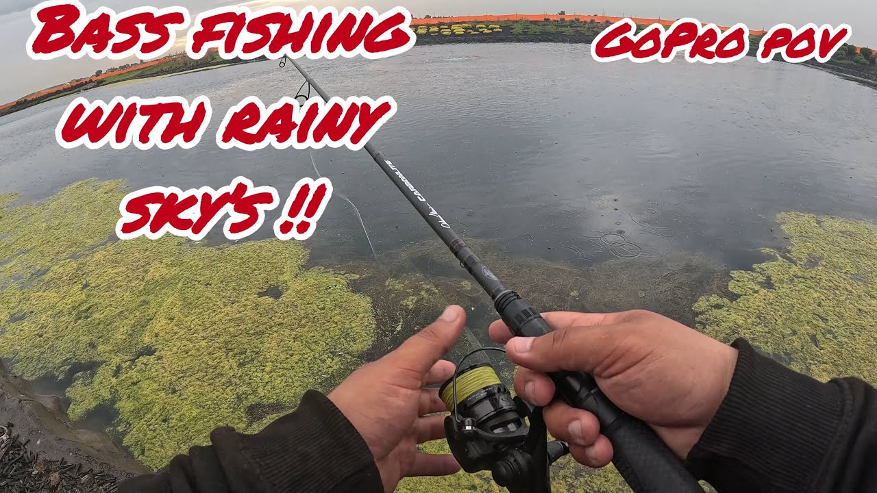 (Part2) Bass Fishing a Secret Pond With Rainy Skys in Stockton !!