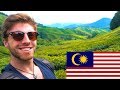 BEAUTIFUL CAMERON HIGHLANDS || TRAVEL MALAYSIA