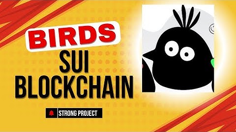 Birds Airdrop.Sui blockchain.Verified project.Sui chain.