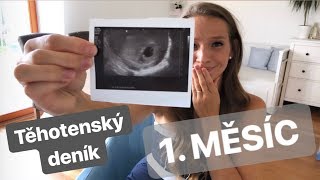 TĚHOTENSKÝ DENÍK - 1. MĚSÍC | otěhotnění, příznaky, návštěva lékaře | Mimi&já