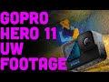 GoPro Hero 11 Underwater Test Footage From Bonaire Tek 2022