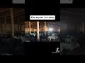 24 января 2024 г.