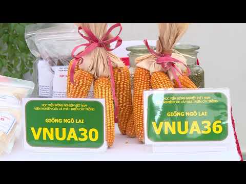 Đẩy mạnh phát triển nông nghiệp số | VNUA (Không logo)