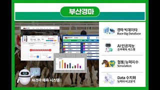 레이스333 2025.7.4 금요일 부산경마 라이브 추천방송
