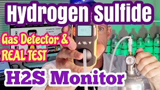 Best H2S Monitor (Hydrogen Sulfide Gas Detector)