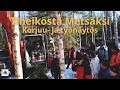 Tiheiköstä metsäksi energiapuun korjuu- ja työnäytös. Ulvila, Satakunta 9.3.2023. Videokooste