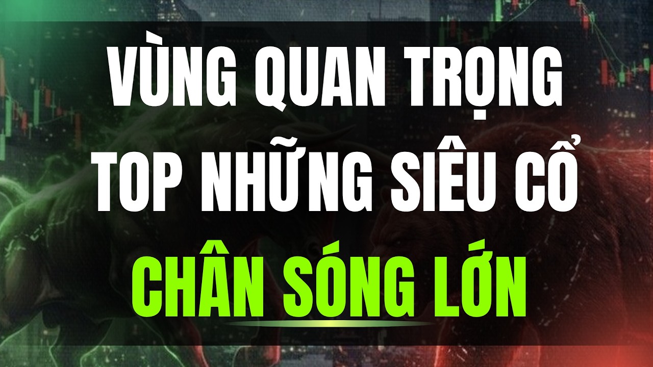 VÙNG QUAN TRỌNG. TOP NHỮNG SIÊU CỔ PHIẾU CHÂN SÓNG LỚN