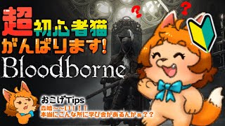 【Bloodborne】学び舎攻略！？天才猫なら簡単でしょ～！！！
