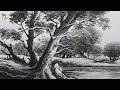 How to draw beautiful forest with pencil sketch and shading  trees drawing