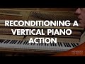 Reconditioning a Vertical Piano Action - Piano Tuning & Repair