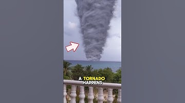 How to Survive a Tornado 🌪️