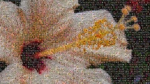 Creating mosaics with PhotoCocktail in CorelDRAW