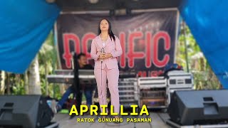 Ratok gunuang Pasaman || Aprillia || Nf7 Studio