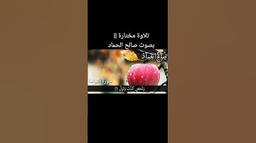 سورة القيامة بصوت الشيخ صالح الحماد 🤍 #قرآن #اكسبلور #qu_ran_n #duet #quran #دويتو #quran_alkarim