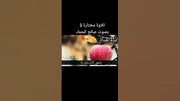 سورة القيامة بصوت الشيخ صالح الحماد قرآن اكسبلور Qu Ran N Duet Quran دويتو Quran Alkarim 