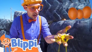 Learn Verbs with Blippi |  Educational Digger Videos for Kids