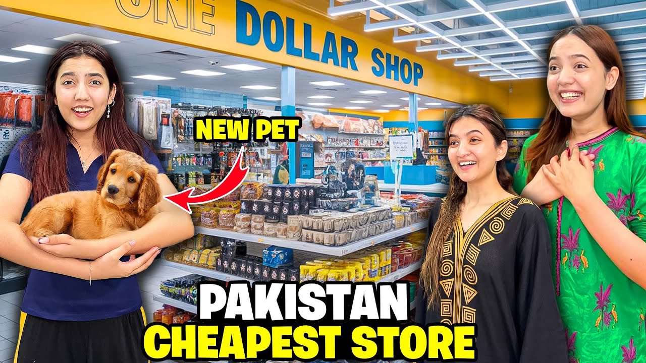 Most Cheapest Store😍😱|Zainab Ny Dog Pet Ly Liya?🥺♥️|Buy Everything in One Dollar🤑|Sistrology