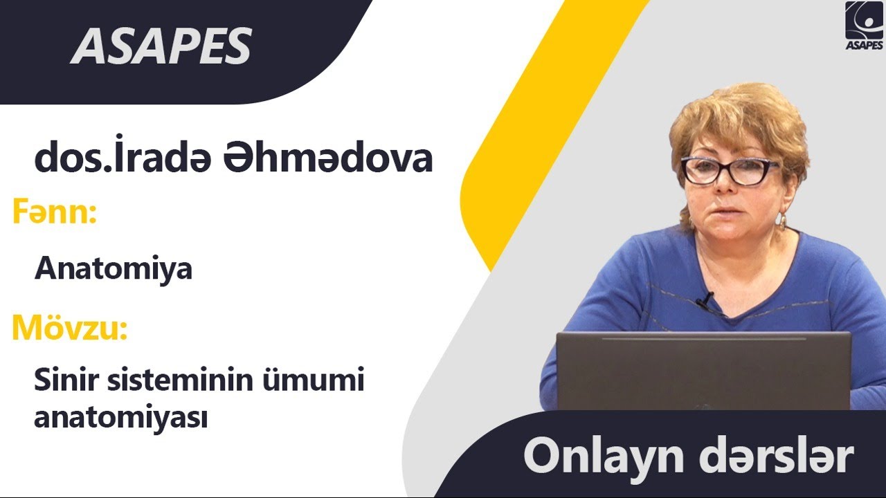 ONLAYN DƏRSLƏR | Anatomiya - Onurğa beyni və onurğa beyin sinirləri