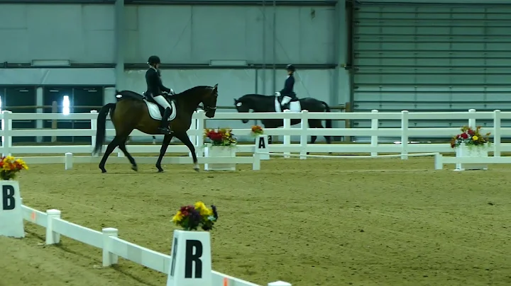 Stephanie Parrish & Gadget, USDF Region 6 Champion...