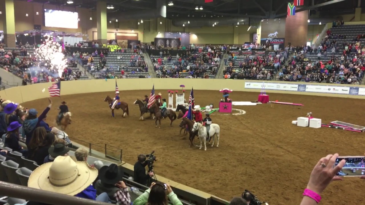 Road to the Horse winner Vicki Wilson's horse doesn't move it's