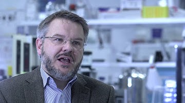 BECLS Sales to Implementation with Univ of Luxembourg