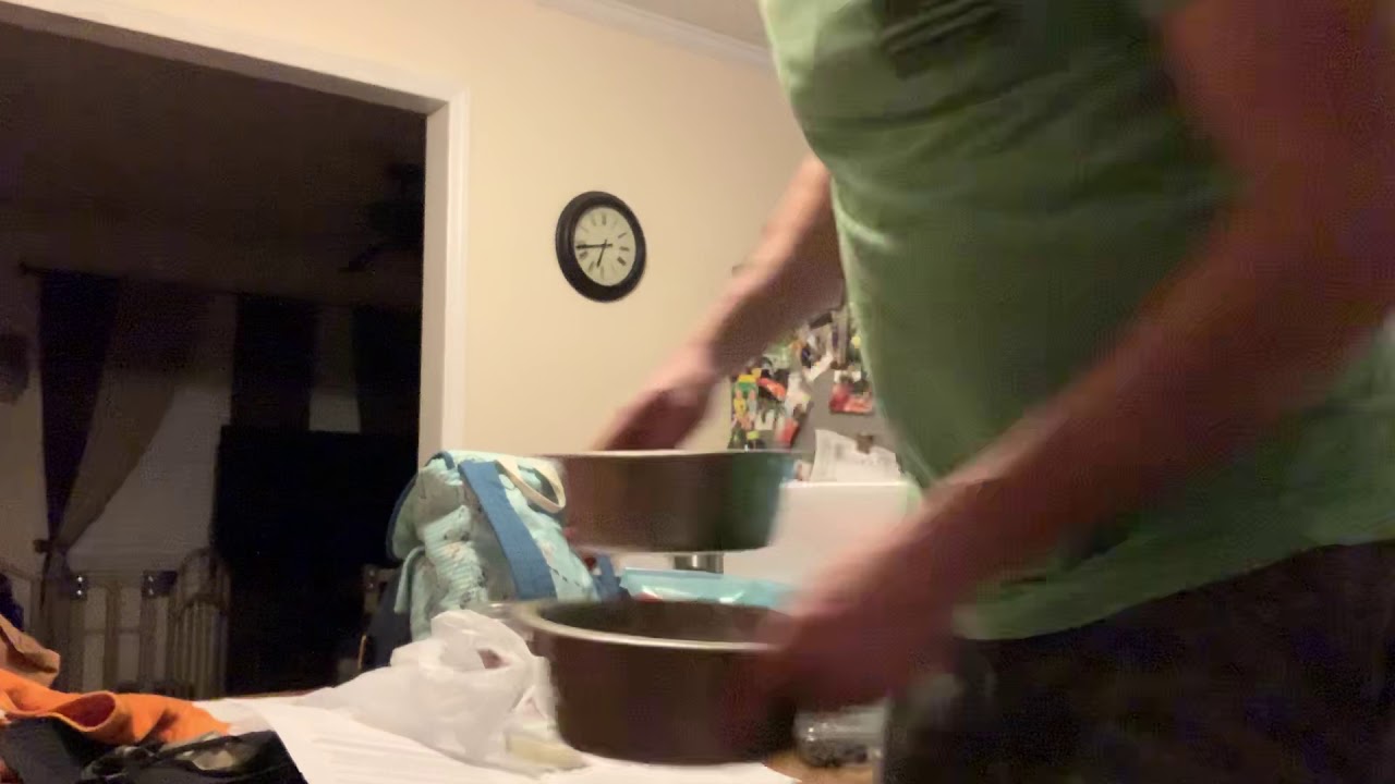 What do you feed your dog?? - YouTube
