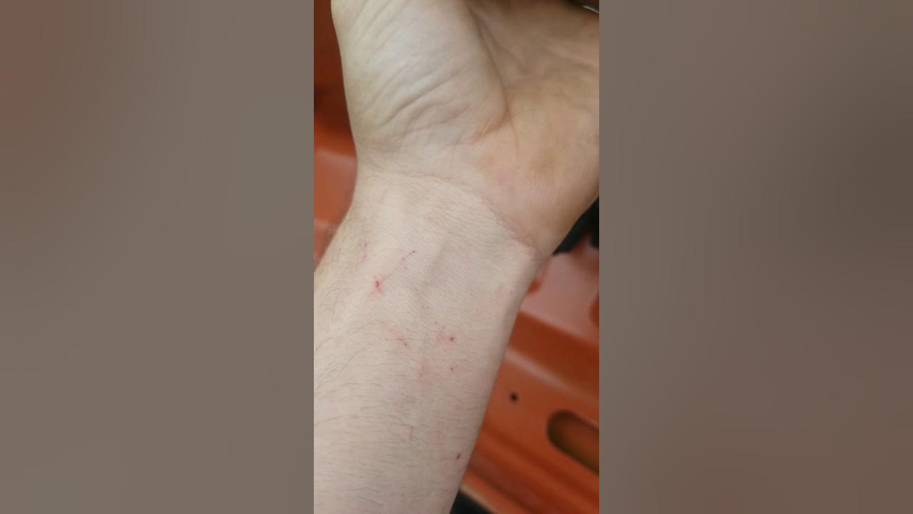 0510 chevrolet cobalt trunk latch mechanism replacement YouTube